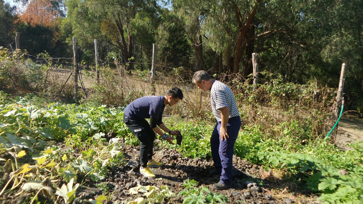 Gardening 園藝時光