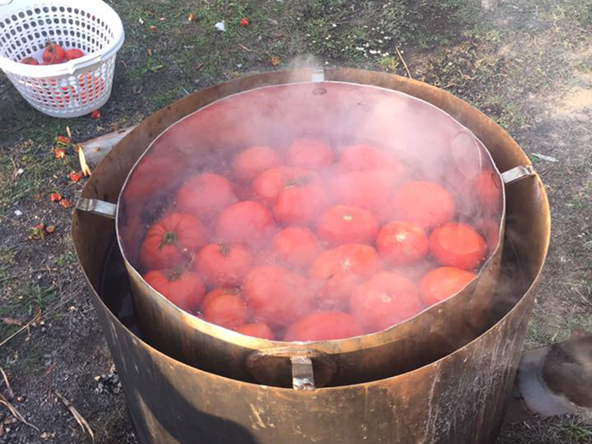 Cooking tomatos 煮番茄