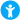 icon youth